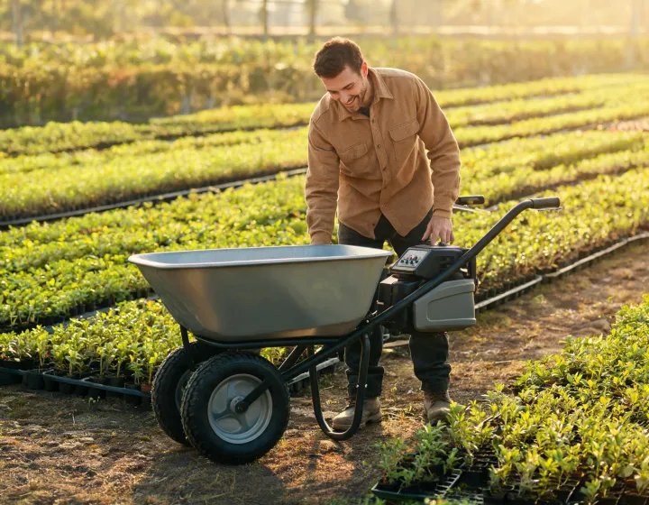 Grower inspecting wheelbarrow controls